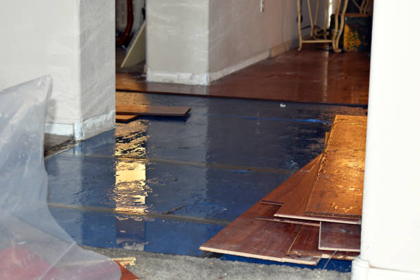 Professional Burst Pipe Cleanup technician working in Helenville, WI